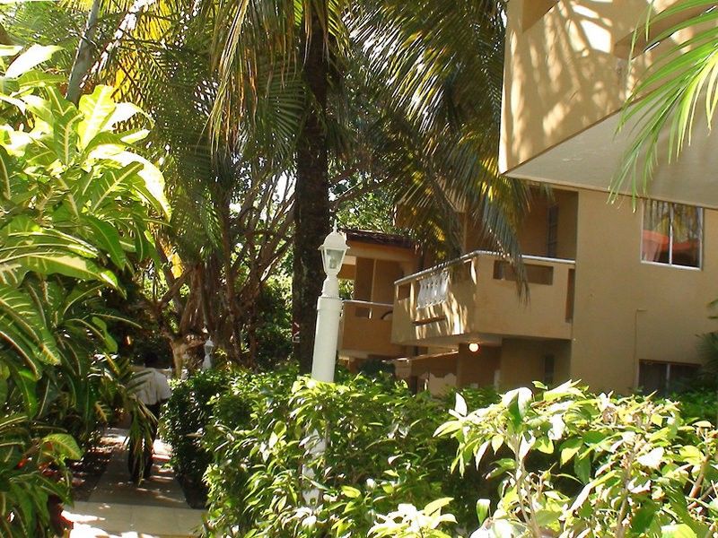 Beach House Cabarete By Faranda Hotels المظهر الخارجي الصورة